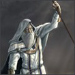 raid