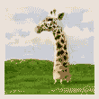 KidJeff09